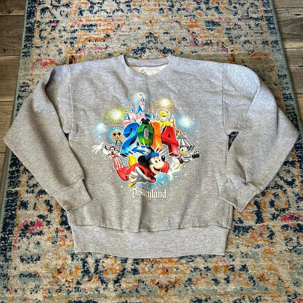 Kid’s Disneyland Sweater, 2014 🐭